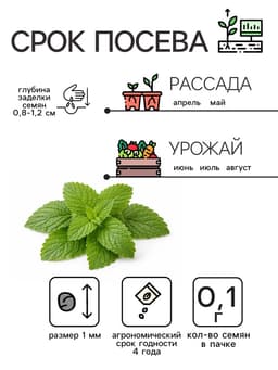 Семена Мелисса лекарственная «Лимонный аромат» 0.1 г, «Рецепты дедушки Никиты»