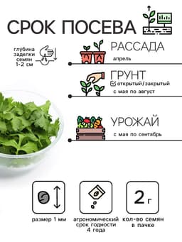 Семена Кориандр - кинза «Кин-Дза-Дза», 2 г, «Рецепты дедушки Никиты»