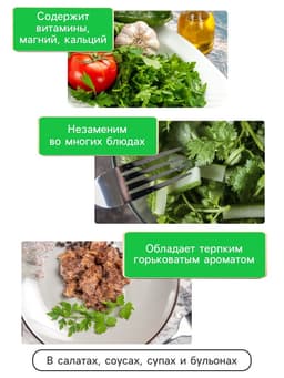 Семена Кориандр - кинза «Кин-Дза-Дза», 2 г, «Рецепты дедушки Никиты»