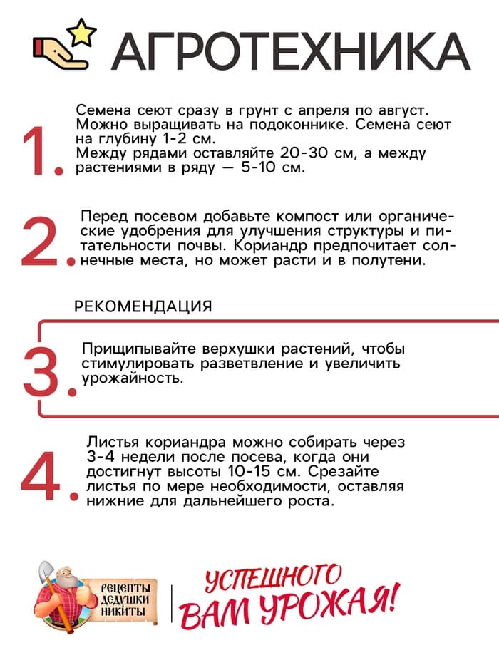 Семена Кориандр - кинза «Кин-Дза-Дза», 2 г, «Рецепты дедушки Никиты»