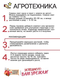 Семена Кориандр - кинза «Кин-Дза-Дза», 2 г, «Рецепты дедушки Никиты»