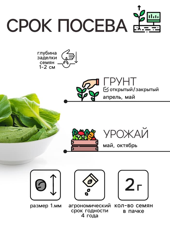 Семена шпинат «Жирнолистный», 3 г, «Рецепты дедушки Никиты»