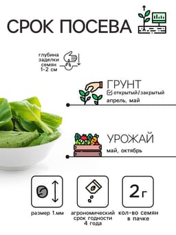 Семена шпинат «Жирнолистный», 3 г, «Рецепты дедушки Никиты»