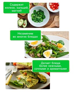 Семена шпинат «Жирнолистный», 3 г, «Рецепты дедушки Никиты»