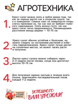 Семена шпинат «Жирнолистный», 3 г, «Рецепты дедушки Никиты»