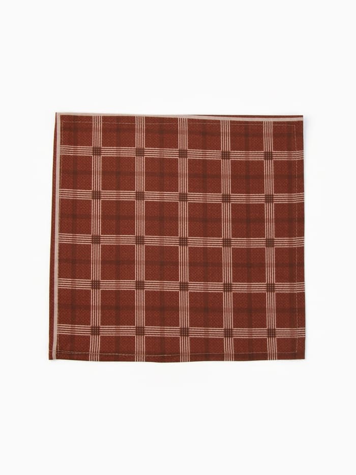 Платки носовые мужские «Этель», 30×30 см, набор 12 шт., 100% хлопок, коричневые, рисунок МИКС