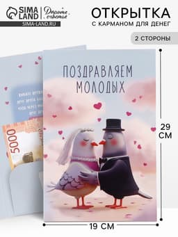 Открытка поздравительная с карманом для денег «Свадьба», голуби, 19 х 29 см