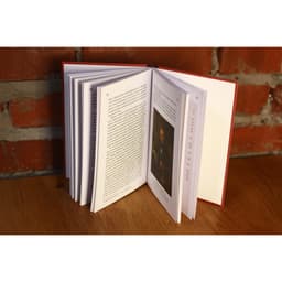 Книга «Выдающиеся личности латинской Америки», Альберто Прието