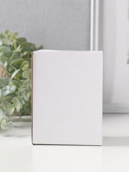 Набор фигурок 4 шт. полистоун «Белочки с орешками», 3×5.5×7.4 см