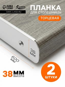 Планка для столешницы торцевая CAPPIO, 38 мм, цвет хром, набор 2 шт.