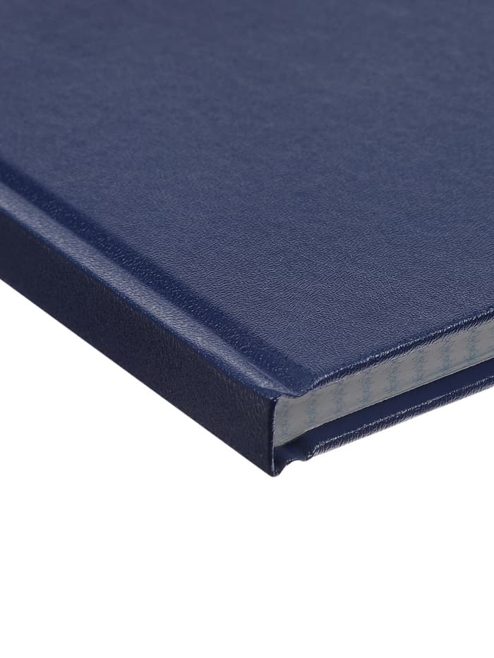 Книга учета А4, 128 листов, клетка, 200×290 мм, бумвинил, синий, блок офсетный