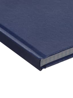 Книга учета А4, 128 листов, клетка, 200×290 мм, бумвинил, синий, блок офсетный