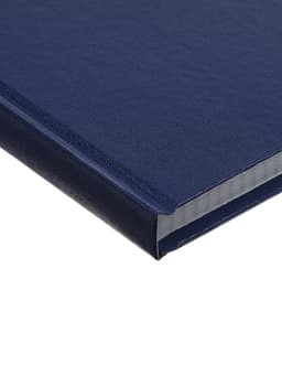 Книга учета А4, 192 листа, клетка, 200×290 мм, бумвинил, синий, блок офсетный