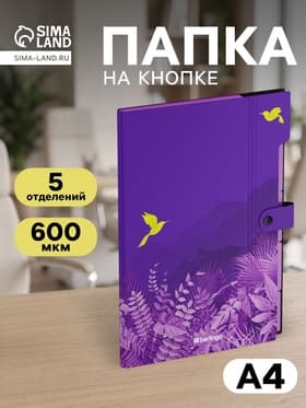 Папка А4 Flower Art, 5 отделений, 600 мкм, на кнопке, с рисунком