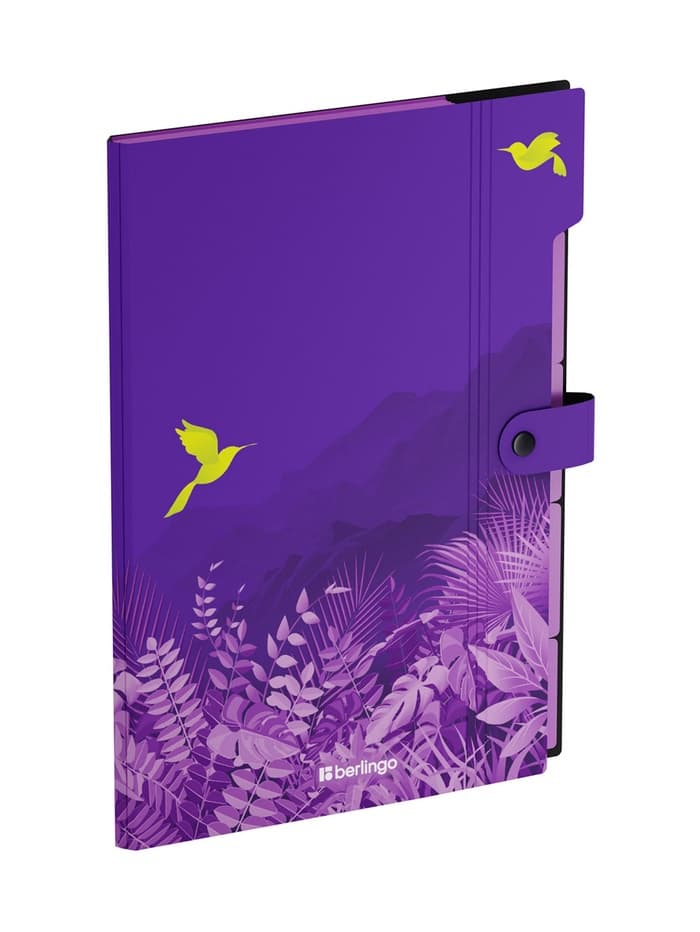 Папка А4 Flower Art, 5 отделений, 600 мкм, на кнопке, с рисунком