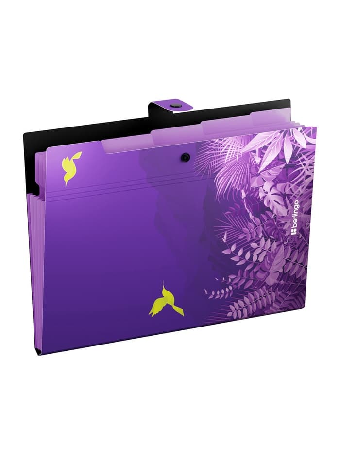 Папка А4 Flower Art, 5 отделений, 600 мкм, на кнопке, с рисунком