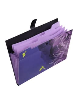 Папка А4 Flower Art, 5 отделений, 600 мкм, на кнопке, с рисунком