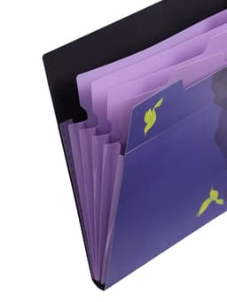 Папка А4 Flower Art, 5 отделений, 600 мкм, на кнопке, с рисунком