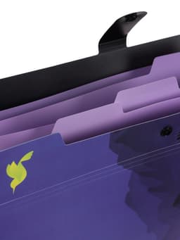 Папка А4 Flower Art, 5 отделений, 600 мкм, на кнопке, с рисунком