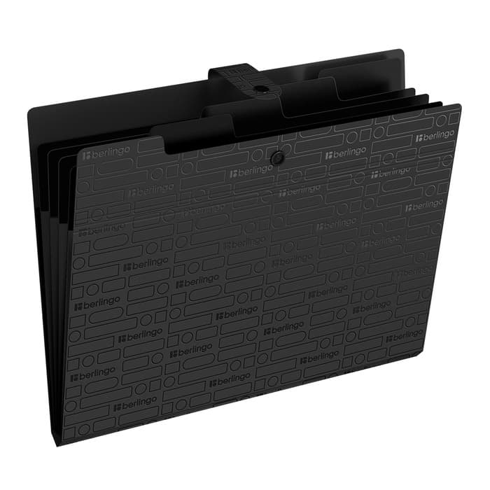 Папка А4 Your Way, 5 отделений, 600 мкм, на кнопке, чёрная