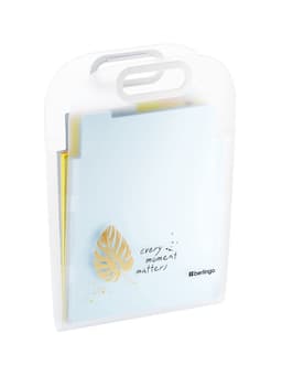 Папка А4 Eco, 6 отделений, 650 мкм, вертикальная, с ручкой, прозрачная, с рисунком