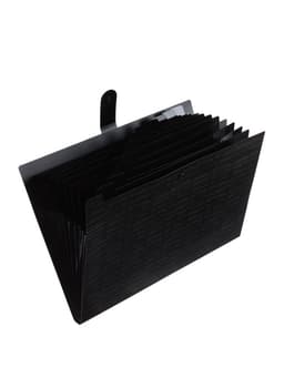 Папка А4 Your Way, 12 отделений, 600 мкм, на кнопке, чёрная