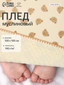 Плед двухслойный «Этель. Медвежонок», 100×100 см, муслин, вельбоа
