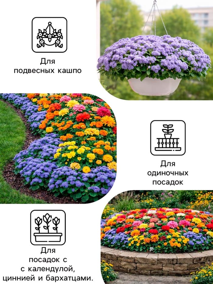 Семена цветов Агератум, голубой, 0.1 г, «Рецепты дедушки Никиты»