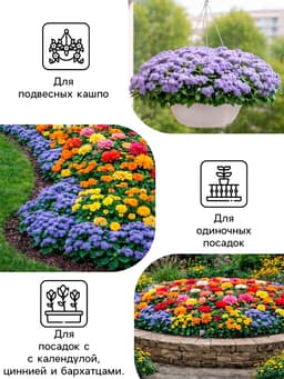 Семена цветов Агератум, голубой, 0.1 г, «Рецепты дедушки Никиты»