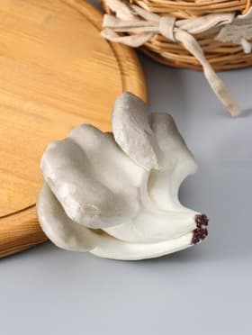 Муляж «Грибы вешенки», 14×10.5 см, бело-серый