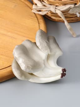 Муляж «Грибы вешенки», 14×10.5 см, бело-серый