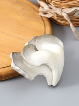 Муляж «Грибы вешенки», 14×10.5 см, бело-серый