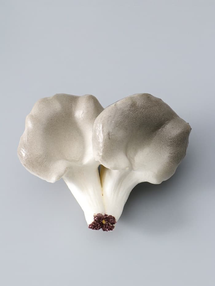 Муляж «Грибы вешенки», 14×10.5 см, бело-серый