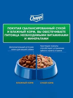 Влажный корм для собак Chappi, с говядиной по-домашнему, пауч, 85 г