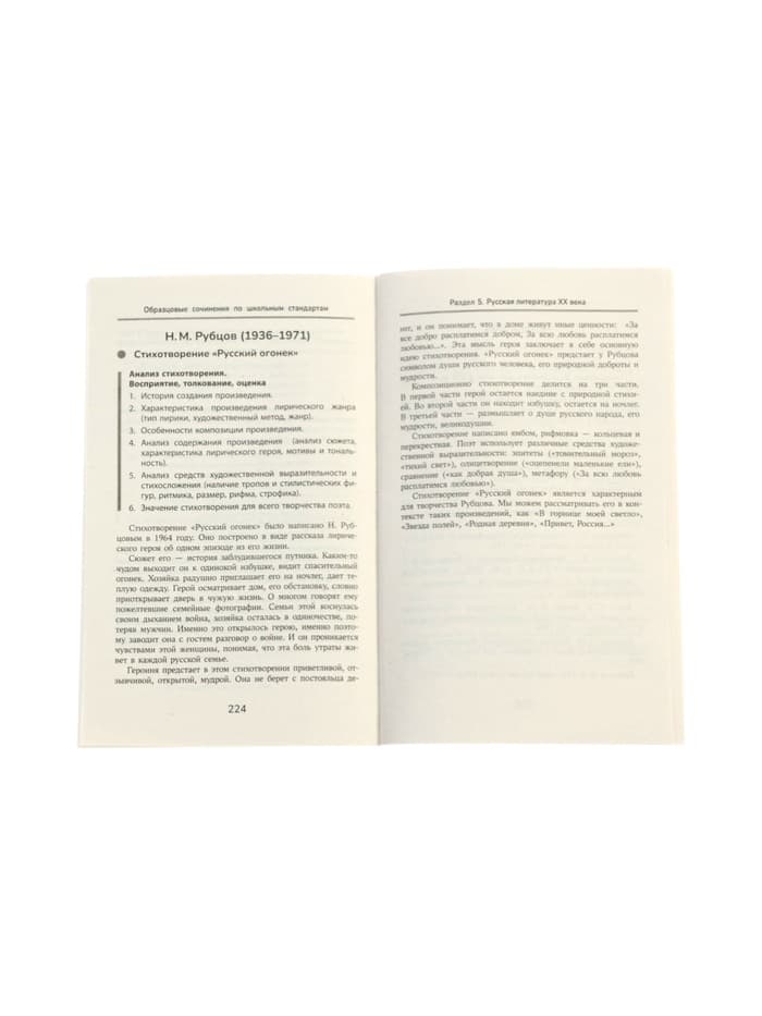 Образцовые сочинения по школьным стандартам, 5-11 классы, Амелина Е.В., 232 стр.