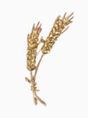 Брошь «Колосья пшеницы», жёлтая в золоте