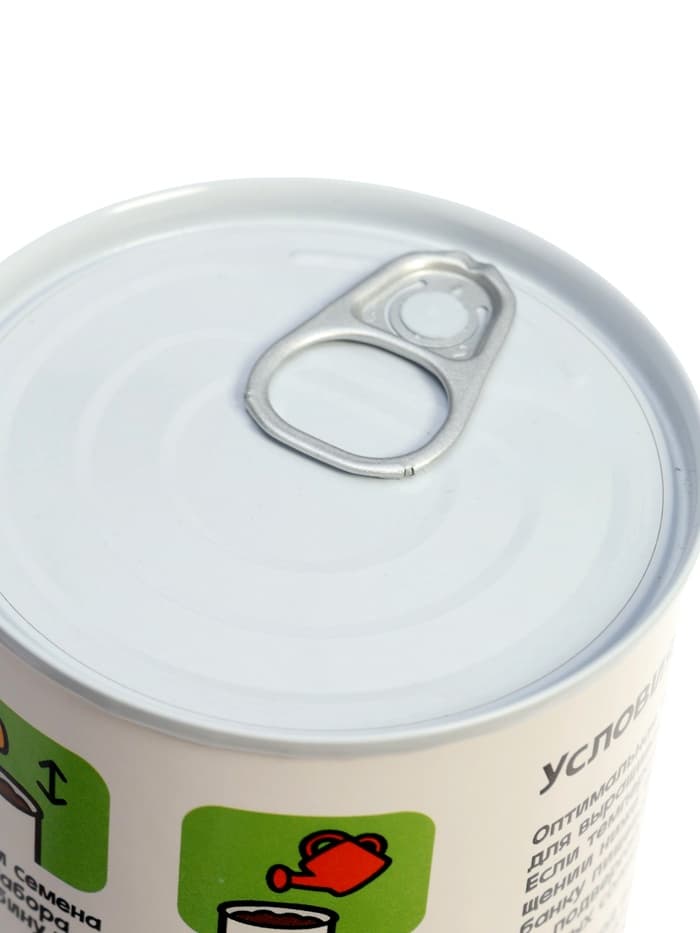 Набор для опытов ЭВРИКИ «Мой мини-сад», помидор