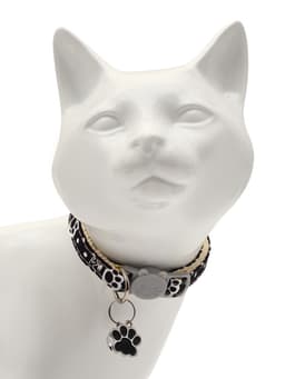 Набор ошейников для кошек «Пижон. Лапки», 19-32×1 см, 2 шт.
