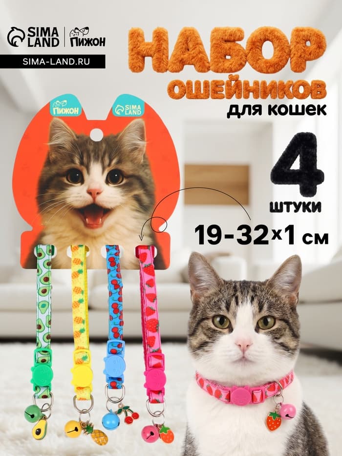 Набор ошейников для кошек «Пижон. Фрукты», 19-32×1 см, 4 шт.