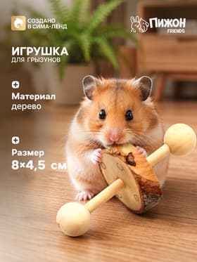 Игрушка для грызунов, погрызушка «Моноколесо», 8×4.5 см, дерево