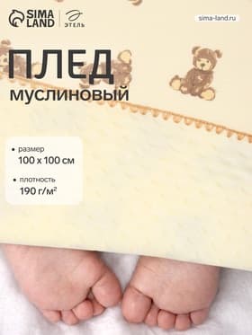Плед двухслойный «Этель» Bear, 100×100 см, муслин, вельбоа