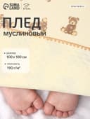 Плед двухслойный «Этель» Bear, 100×100 см, муслин, вельбоа