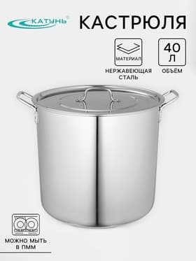Котёл Катунь «Общепит», 40 л, d=40 см, h=35 см, с крышкой, нержавеющая сталь, хромированная