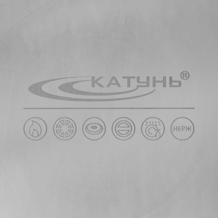 Котёл Катунь «Общепит», 40 л, d=40 см, h=35 см, с крышкой, нержавеющая сталь, хромированная