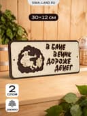 Табличка для бани и сауны «В бане веник дороже денег», 30×12 см, деревянная