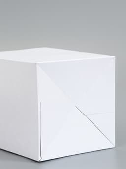 Пакет - переноска для цветов, с белым картонным основанием, 14×14×20×87±5% см