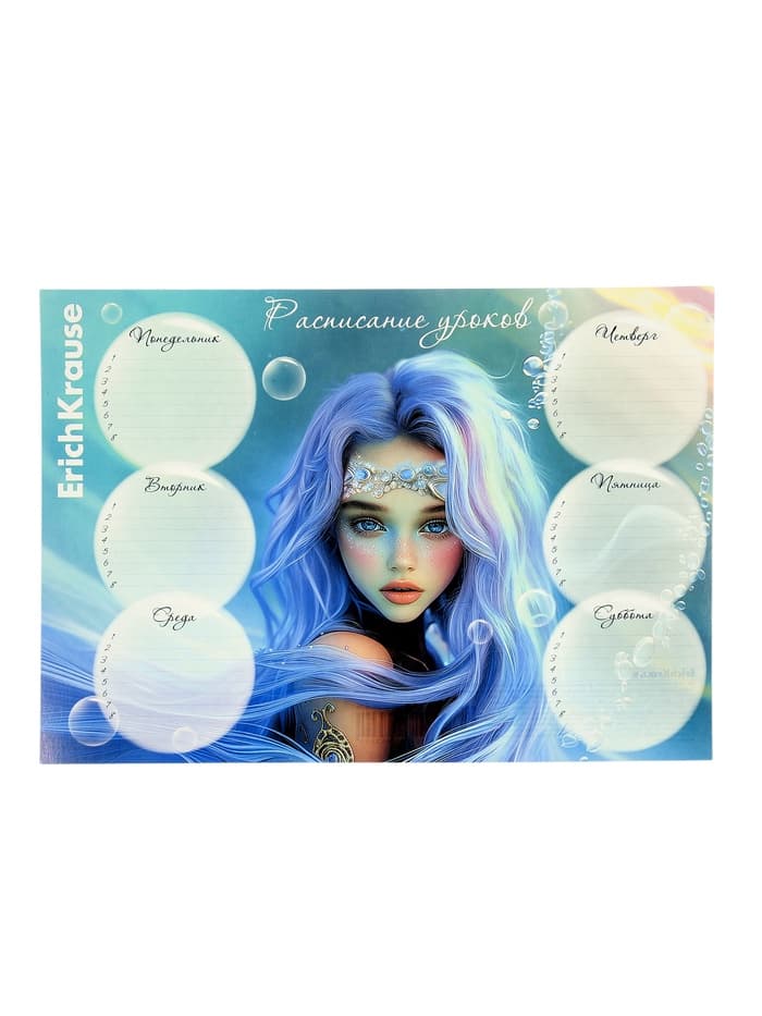 Расписание уроков A4, ErichKrause Aquamarine