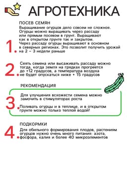 Семена Огурец Зозуля F1, партенокарпический, раннеспелый, 12 шт