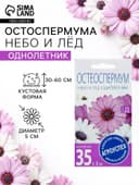 Семена цветов Остеоспермума «Небо и лед» смесь, 0.2 г