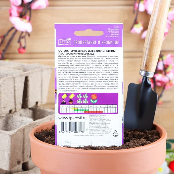 Семена цветов Остеоспермума "Небо и лед", смесь, О, 0,2г